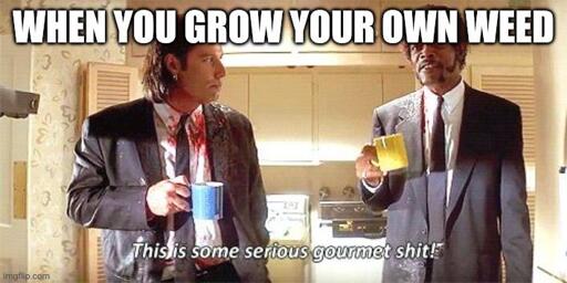 pulp fiction screenshot. text above: "When you grow your own weed". subtitles: "this is some serious gourmet shit"