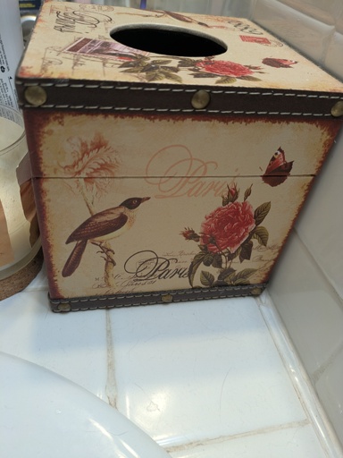 Tissue box, showing a bird, butterfly, rose and the word Paris 