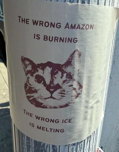 A poster pasted on a street pole picturing a grainy cat face in the centre. Text above the cat reads "THE WRONG AMAZON IS BURNING". Text below the cat reads "THE WRONG ICE IS MELTING".