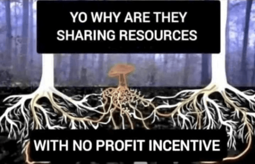 death cap(italism)