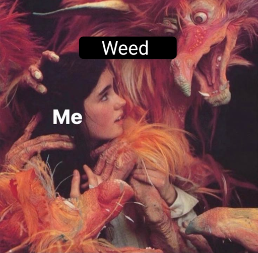 Scene from labyrinth movie. Girl tagged with "Me" looks fascinated at an orange creature tagged with "Weed".
